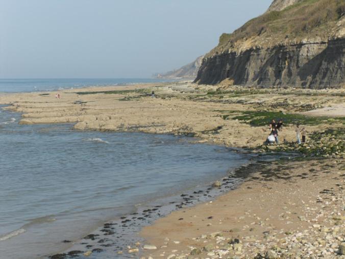 بورت-أون-بيسين-هوباين Gites De Mer الغرفة الصورة