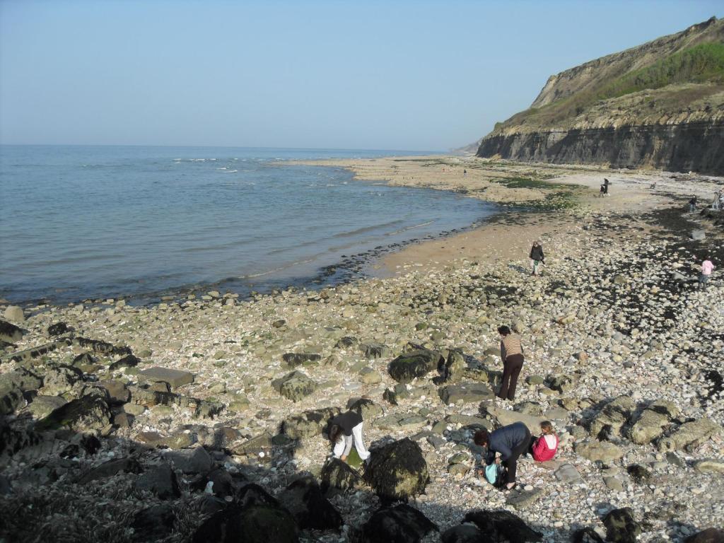 بورت-أون-بيسين-هوباين Gites De Mer الغرفة الصورة