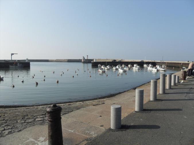 بورت-أون-بيسين-هوباين Gites De Mer الغرفة الصورة